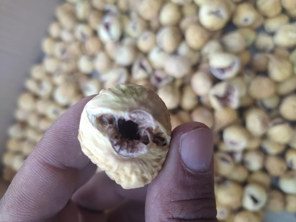 فروش ویژه انجیر خشک صد یک آ + فروش ویژه